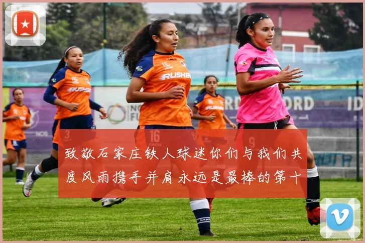 致敬石家庄铁人球迷你们与我们共度风雨携手并肩永远是最棒的第十二人