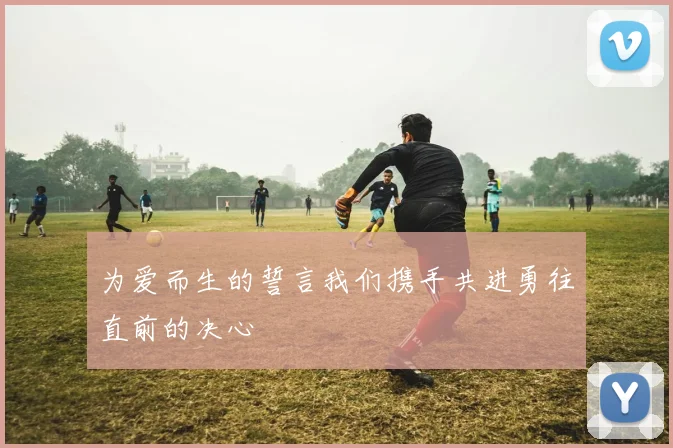 为爱而生的誓言我们携手共进勇往直前的决心
