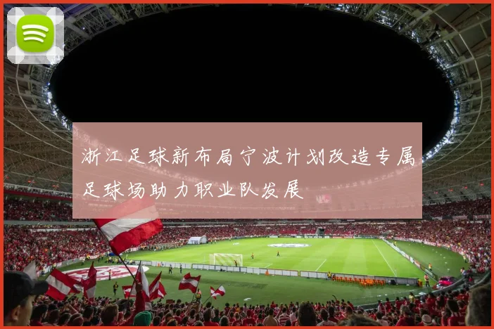 浙江足球新布局宁波计划改造专属足球场助力职业队发展